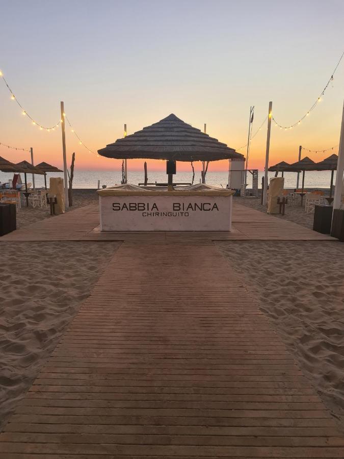 Hotel Camelia Rimini Exterior photo
